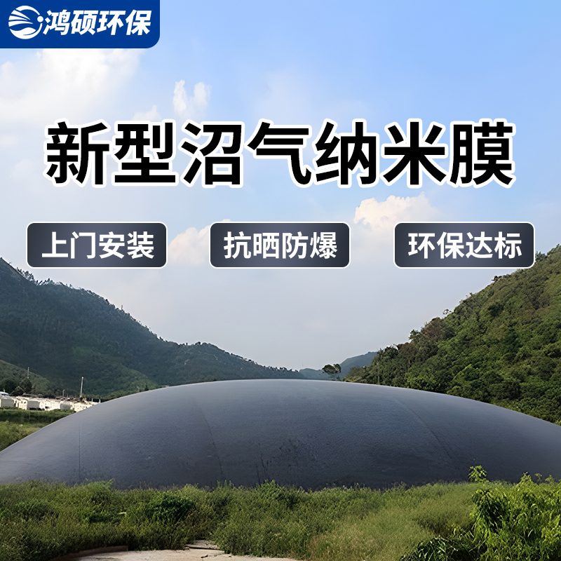 澳大利亚3万方大型沼气工程